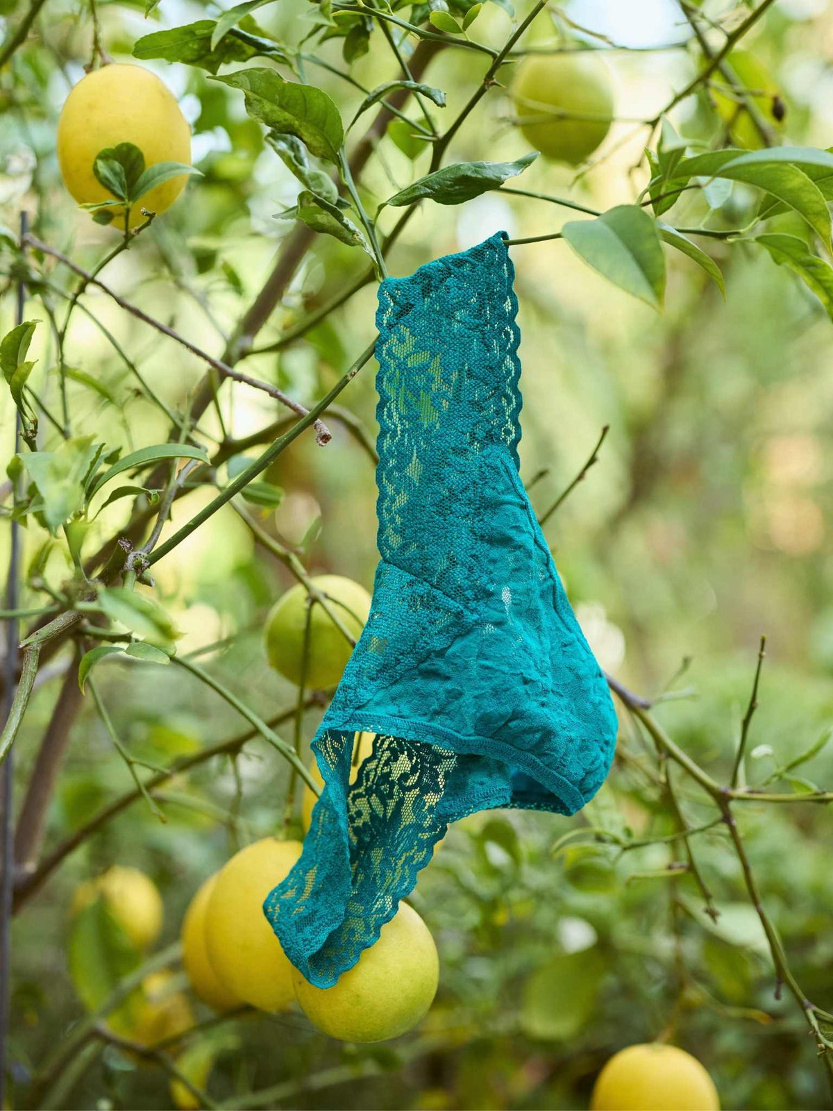 Signature Lace® Original Rise Thong Dark Teal - Hanky Panky